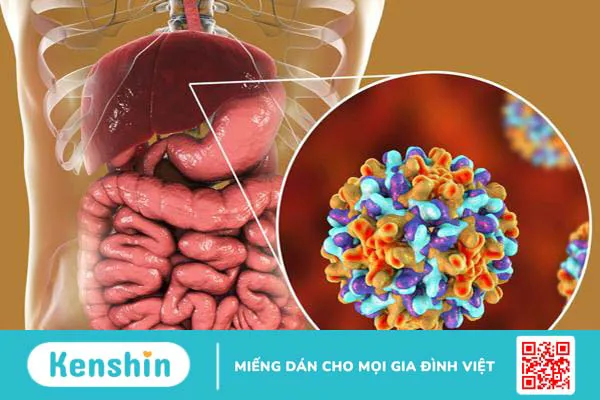 Giải đáp: Tiêm viêm gan B bao nhiêu tiền? Nên chọn tiêm vắc xin viêm gan B ở đâu?