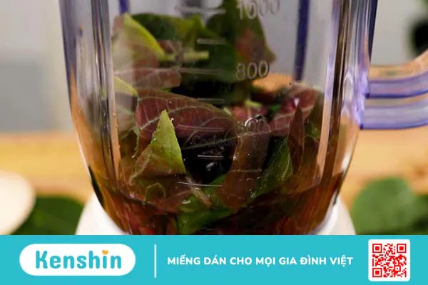 Gợi ý 3 món ăn từ lá mơ lông chữa viêm dạ dày 4