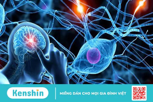 Hệ thần kinh thực vật: Cấu tạo, chức năng và bệnh lý phổ biến 1