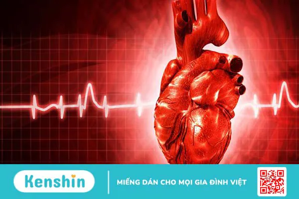 Hệ thần kinh thực vật: Cấu tạo, chức năng và bệnh lý phổ biến 3