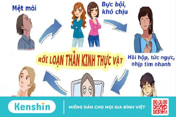 Hệ thần kinh thực vật: Cấu tạo, chức năng và bệnh lý phổ biến 4