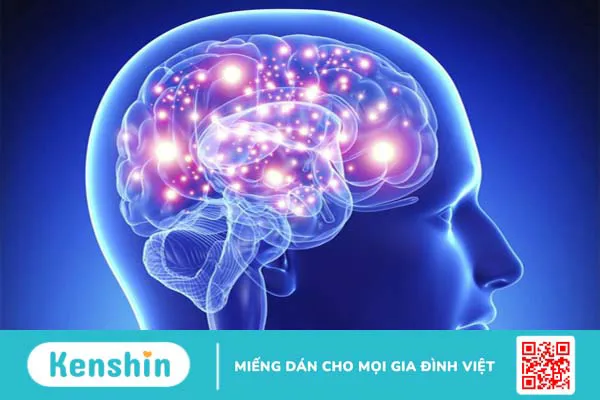 Hệ thống nội tiết gồm bộ phận nào và Rối loạn hệ thống nội tiết 1