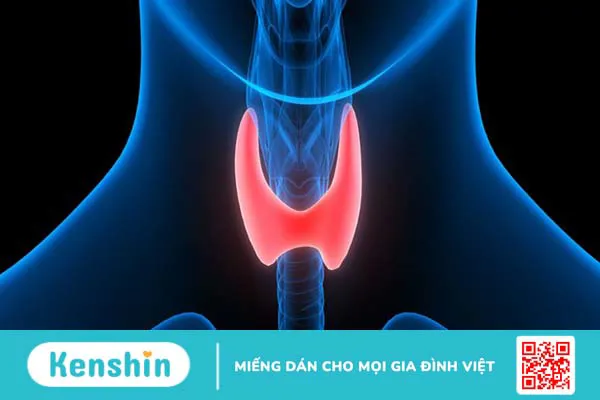 Hệ thống nội tiết gồm bộ phận nào và Rối loạn hệ thống nội tiết 3