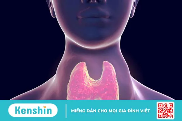 Hệ thống nội tiết gồm bộ phận nào và Rối loạn hệ thống nội tiết 4