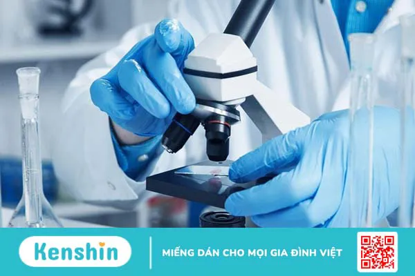 Hội chứng Sézary là bệnh gì? Có nguy hiểm không 3