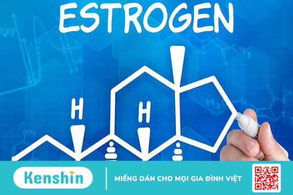 Hormone Estrogen: Vai trò và tác dụng đối với cơ thể con người 1