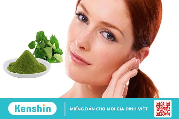 Hướng dẫn cách làm bột diếp cá đơn giản tại nhà 1