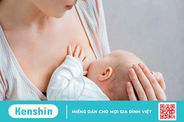 Hướng dẫn cách tiêu sữa bằng lá dâu tằm 1