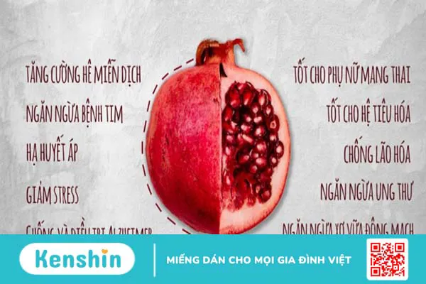 Khám phá những lợi ích đáng kinh ngạc của việc ăn vỏ lựu