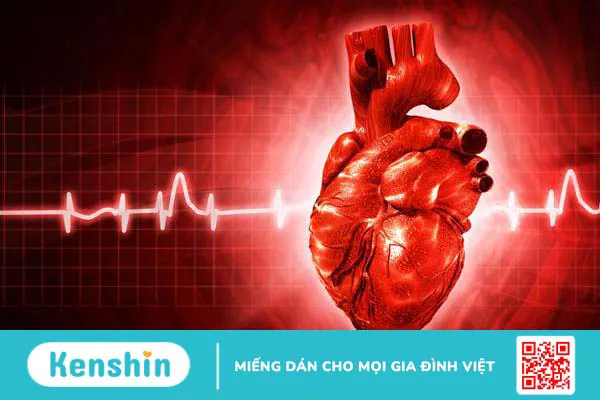 Khám rối loạn nhịp tim ở đâu tốt nhất và các xét nghiệm cần thực hiện? 1