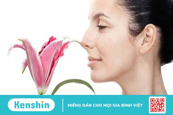 Khứu giác là gì? Những bệnh lý nào ảnh hưởng đến khứu giác? 1