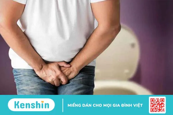 Giải đáp: Kiến bu nước tiểu có phải bị bệnh tiểu đường? 2