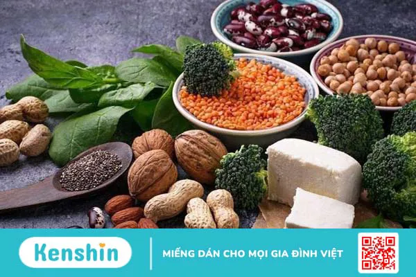 List các loại thực phẩm có chứa nhiều đạm thực vật 1