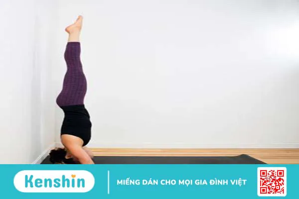 Mách bạn các bài tập yoga chữa viêm xoang hiệu quả tại nhà 4