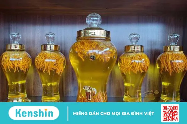 rượu ngâm với đông trùng hạ thảo giúp bảo quản được lâu hơn