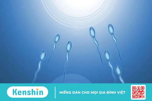 Màng phim tránh thai có hiệu quả không?