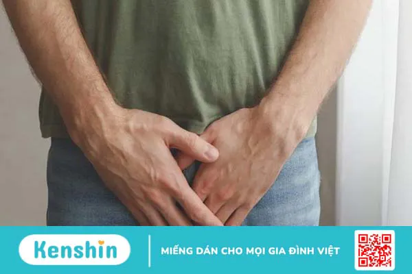 Mào tinh hoàn là gì? Các bệnh lý thường gặp ở mào tinh hoàn 2