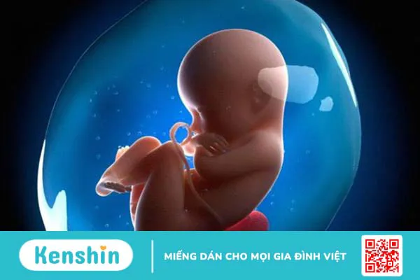 Mẹ bầu vỡ ối bao lâu thì sinh?1