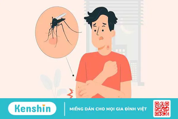 Muỗi sống được bao lâu? Gây ra những bệnh nguy hiểm nào? 03