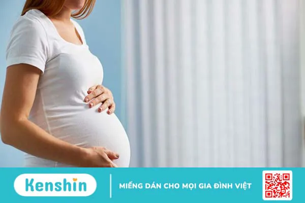 Nấm linh chi rừng và tác dụng của nấm linh chi 5