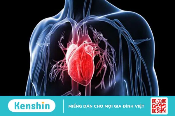 Nên phẫu thuật tim hở hay phẫu thuật nội soi tim? Những biến chứng của phẫu thuật 3