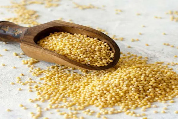 Ngũ cốc Millet là gì? Thành phần dinh dưỡng và lợi ích của ngũ cốc Millet 1