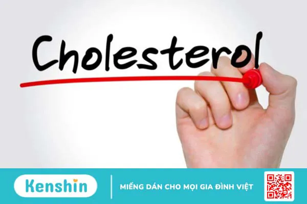 Người gầy vẫn có nguy cơ thừa cholesterol trong máu 1