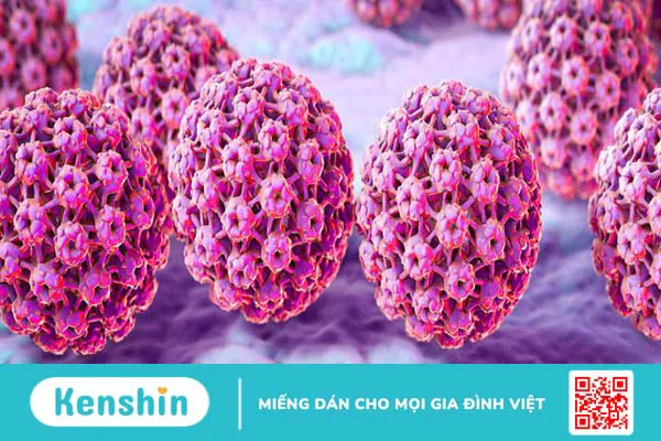 Nguyên nhân nhiễm HPV là gì? Biện pháp phòng tránh như thế nào? 1