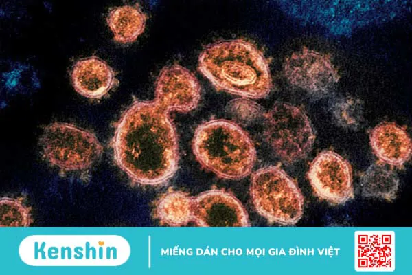 Nhà khoa học Mỹ tìm thấy virus Sars-CoV-2 trong tinh hoàn bệnh nhân 1