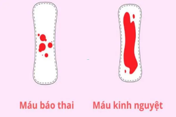 Nhận biết đã mang bầu với que thử thai Safefit Test 1