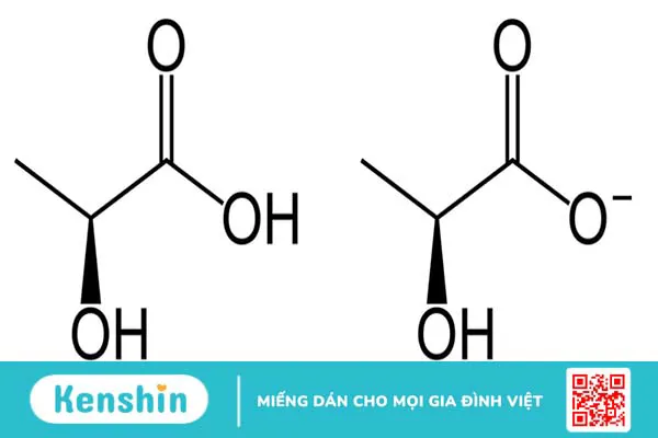 Nhiễm toan lactic ở người bị đái tháo đường uống metformin 2