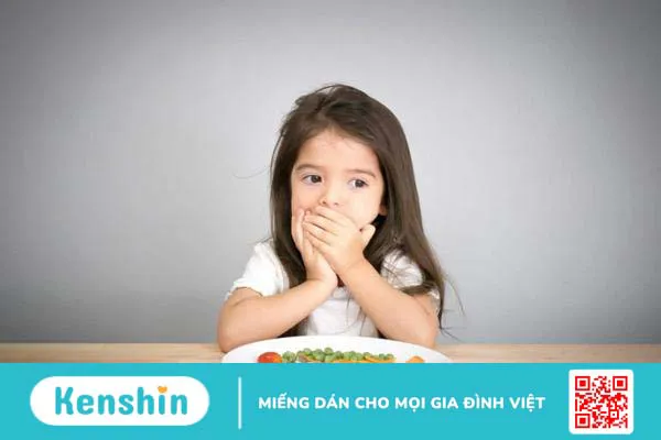 Những bệnh lý nào gây chán ăn buồn nôn, cách chữa trị ra sao? 1