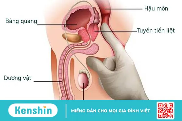 Những bệnh thường gặp ở đàn ông sau tuổi 40 1