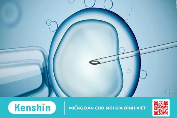 Những điều bạn cần biết về thụ tinh nhân tạo 1