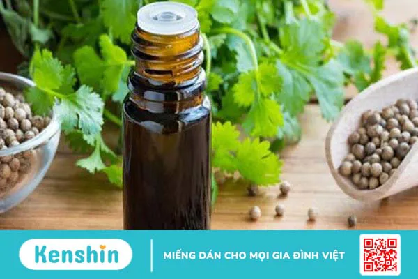 Những điều bạn nên biết về tinh dầu mùi già  1