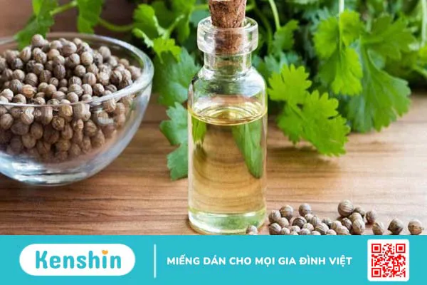 Những điều bạn nên biết về tinh dầu mùi già  3