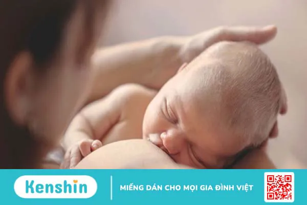 Những điều cần biết về hội chứng thiểu sản thất trái ở thai nhi 2