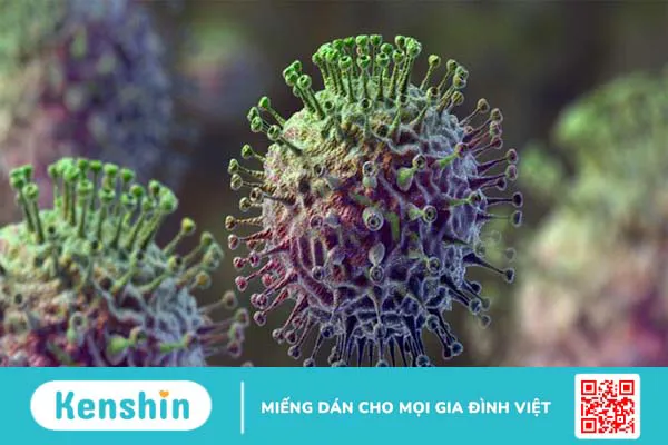 Amoxicillin không có hiệu quả trong việc điều trị các bệnh nhiễm virus như cúm hoặc cảm lạnh thông thường