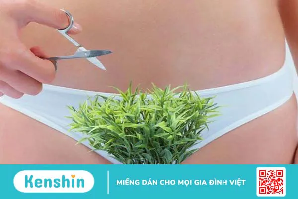 Những ưu và nhược điểm của việc "dọn cỏ" vùng kín 1