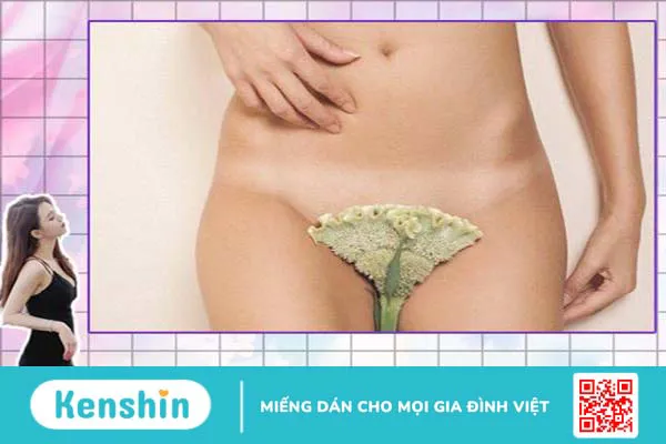 Những ưu và nhược điểm của việc "dọn cỏ" vùng kín 2