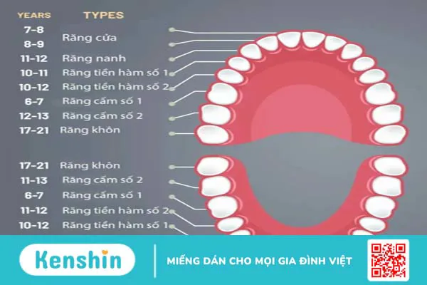 Niềng răng trong suốt có cần nhổ răng không? Lợi ích của Invisalign 2