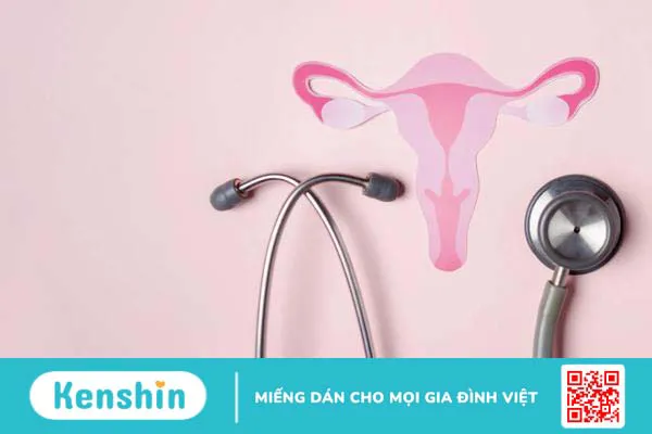 Nội tiết tố: Vũ khí của “phái đẹp" 1