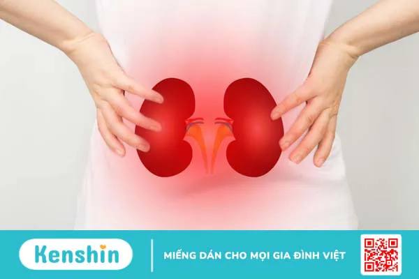 Nước tiểu màu hồng: Nguyên nhân và cách phòng ngừa hiệu quả 2