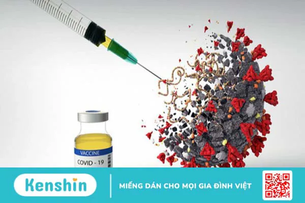 Omicron lây lan nhanh ở những nước có tỷ lệ miễn dịch cộng đồng cao1