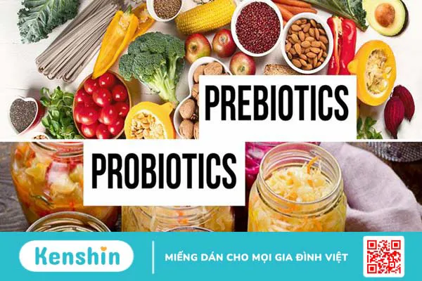 Phân biệt prebiotic và probiotic 1