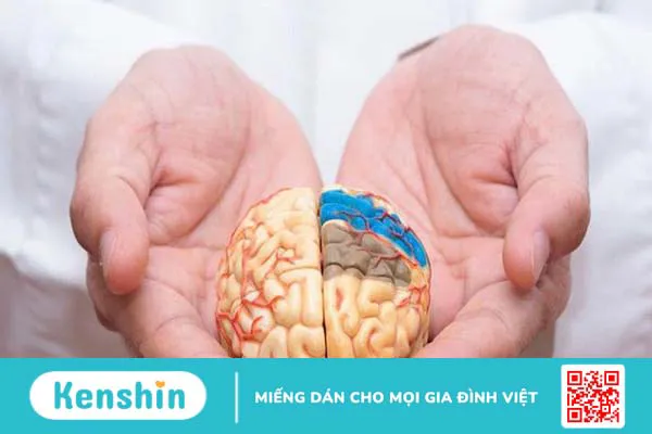 Phản xạ không điều kiện là gì và tại sao nó quan trọng? 3