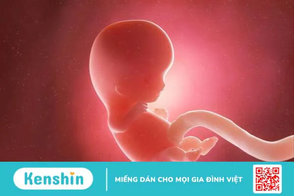 Nguyên nhân gây phù chân khi mang thai và biện pháp hạn chế phù chân mẹ bầu nên biết 1