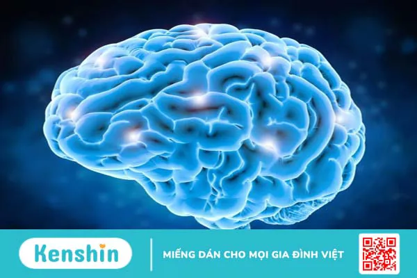 Phục hồi chức năng não sau đột quỵ như thế nào? Biện pháp phòng ngừa tái phát đột quỵ  3