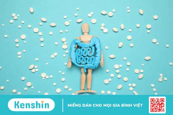 Probiotics là thuốc gì? Lợi ích và công dụng của chúng 3