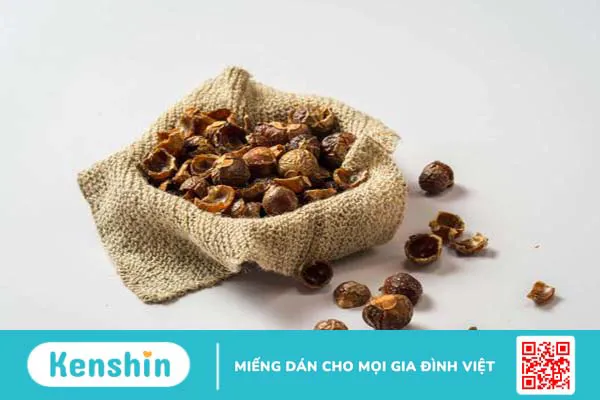 Quả bồ hòn có ăn được không? Một số lưu ý khi sử dụng quả bồ hòn 5